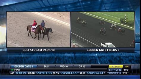 tvg expert picks|Expert Picks .